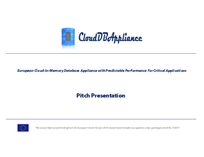 Project Pitch Presentation